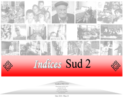 indices-2010.png