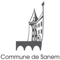 logo_sanem.jpg