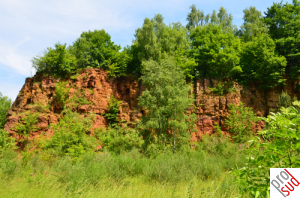 Dudelange_Nature_Haard.png
