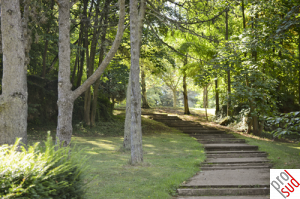 Gaalgebierg_2©Ville-d'Esch.png