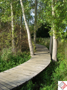 Pétange_Nature.png