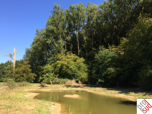 Mondercange_Natur.png