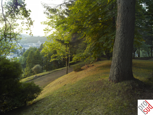 RUMELANGE©-Romain-Girtgen_L.png