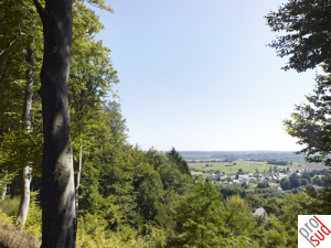 Sanem©Romain-Girtgen5.png