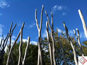 Kayl_Spillplatz-Holz.png